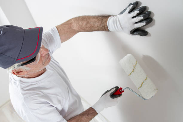 Best Mold Removal for HVAC Installations  in Danville, VA