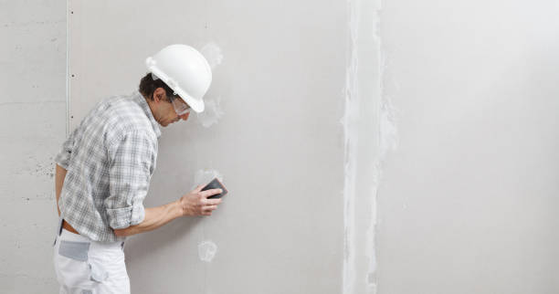 Danville, VA Mold Removal Company