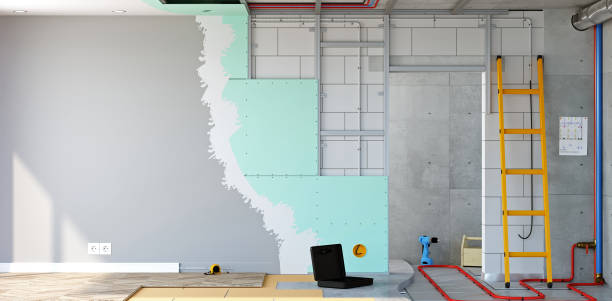 Best Environmental Consulting for Mold Prevention  in Danville, VA