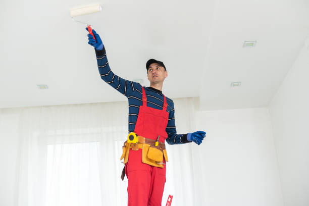 Reliable Danville, VA Mold Removal Solutions