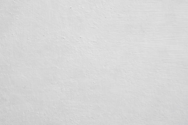 Best Commercial Mold Inspection  in Danville, VA