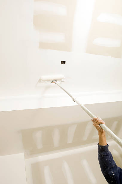 Best Post-Construction Mold Inspection  in Danville, VA