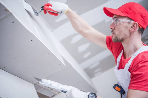 Best Black Mold Removal  in Danville, VA