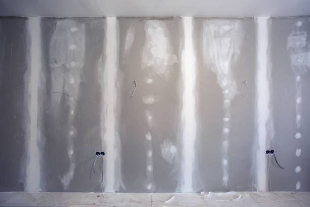 Best Mold Odor Removal Services  in Danville, VA